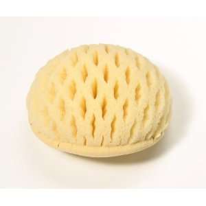  Martini Spa Honeycomb Bath Sponge   Made in Italy: Beauty