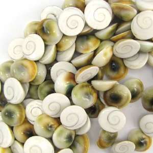  22mm ammonite fossil shell snail beads 15 strand