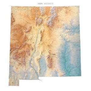  Raven Maps & Images New Mexico Wall Map
