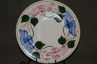 SOUTHERN POTTERIES BLUE RIDGE REHOBOTH 10 DINNER PLATE  