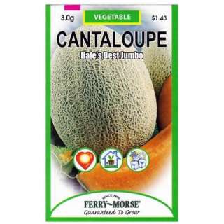 Ferry Morse Cantaloupe Hales Best Jumbo Seed 1245 