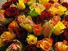 Rosen rot, Lilien Artikel im bluemchen floristik gmbh Shop bei 
