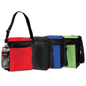   Insulated Cooler Bag Eco NonWoven Material Vertical Good for 12 cans
