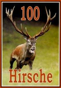 Jagd DVD: 100 vielfarbige HIRSCHE Bakony Gebirge Ungarn  