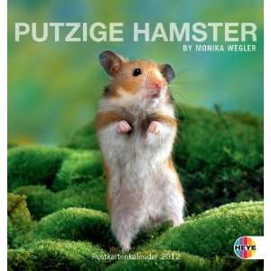 Putzige Hamster 2012. Postkartenkalender  Monika Wegler 