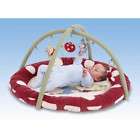 Disney Winnie The Pooh Baby Gym Activity Play Toy Mat