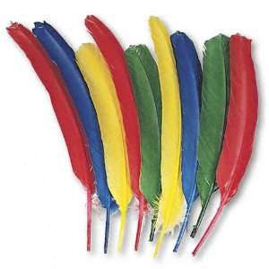  Creativity Street Quill Feathers, Assorted Colors, 24 