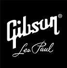 Gibson Les Paul T SHIRT all sizes and colours FREEPOST