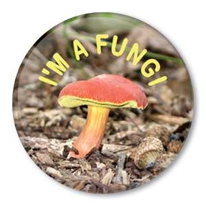 FUNGI mushroom(s) funny pin badge fungus mycology  