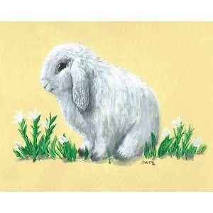    Jacob the American Fuzzy Lop Rabbit Wall Art: Home & Kitchen