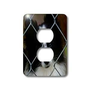 Rebecca Anne Grant Photography Dogs   Fenced Pomeranian   Light Switch 