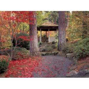  Japanese Gazebo with Fall Colors, Spokane, Washington, USA 