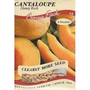    Honey Rock Cantaloupe Seeds   4 grams Patio, Lawn & Garden
