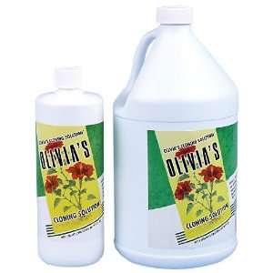  Olivias Solutions OLIVIAS CLONING SOLUTION   QUART (24 