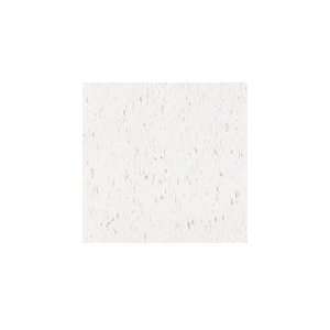  Armstrong Flooring 51929 Commercial Vinyl Composition Tile 
