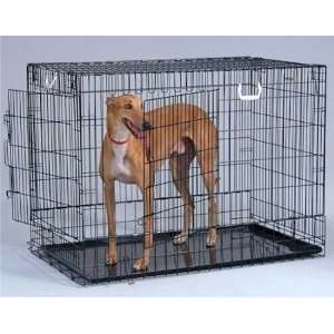  Two Door Wire Dog Crate   Black/Large: Pet Supplies