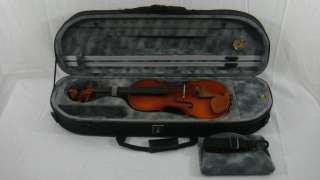 Pro. Enhanced/Moon Shape Violin Case   4/4 VC   820SL  