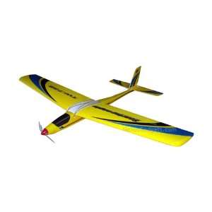   Soaring Eagle TW 738 Remote Control Airplane   3 Channel Toys & Games